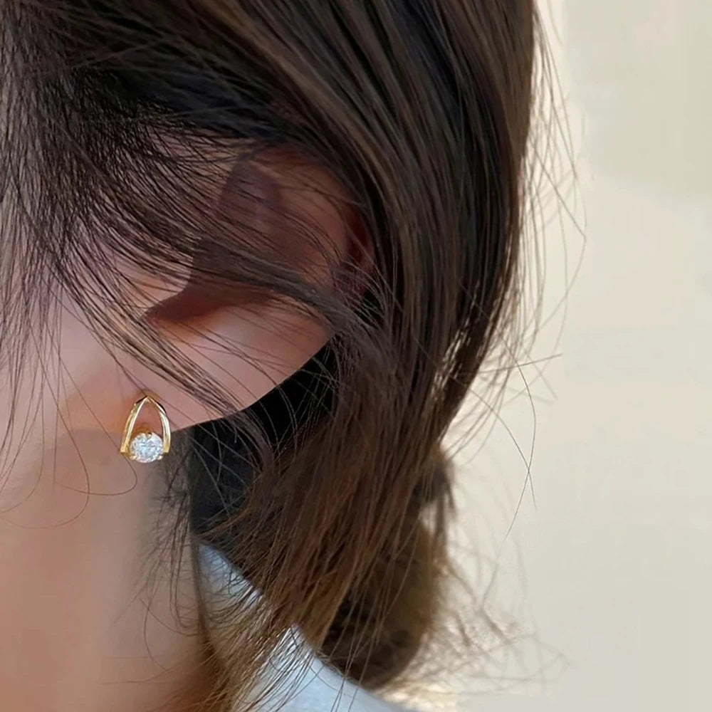 0.5/1 Carat Moissanite Earrings