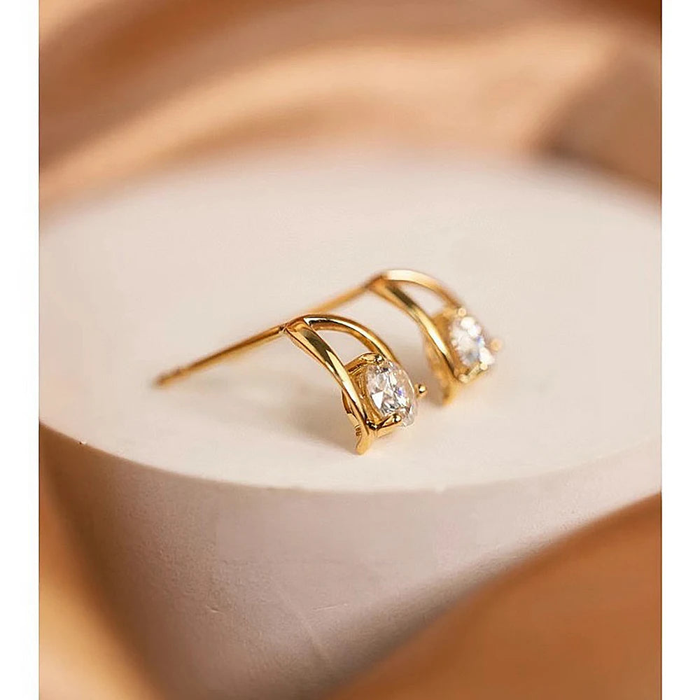 0.5/1 Carat Moissanite Earrings