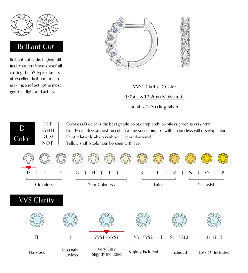 Moissanite Small Hoop Earrings