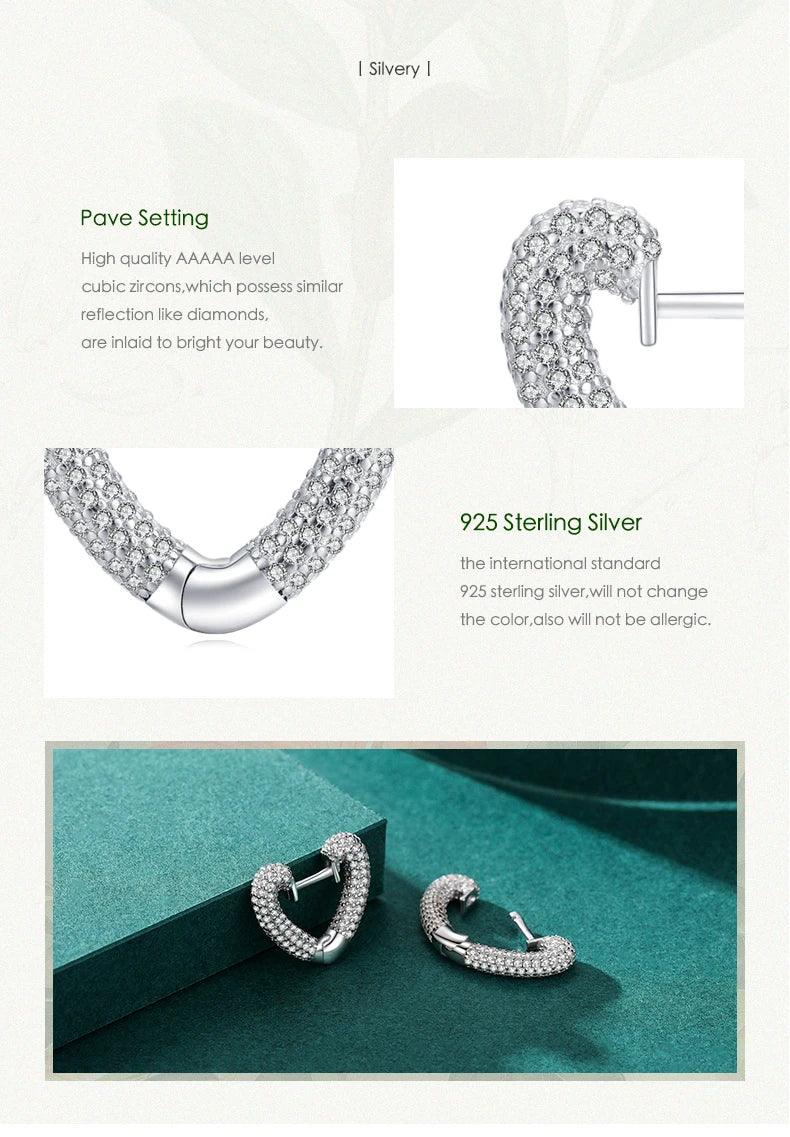 Hearts Ear Buckles